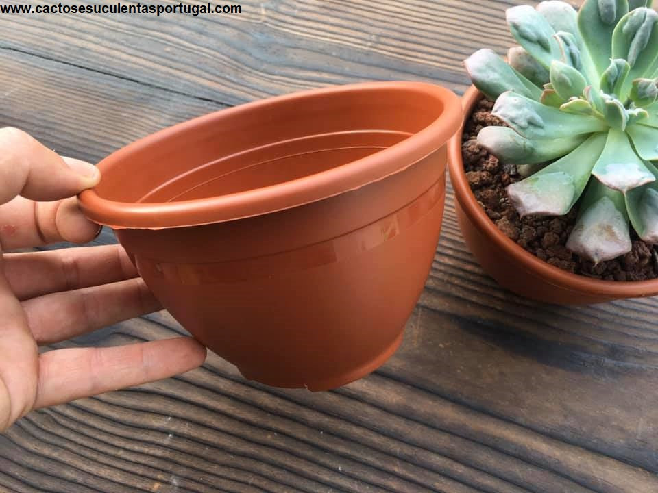 Vaso redondo 15cm de diâmetro, típico "Taizhou Kedi"