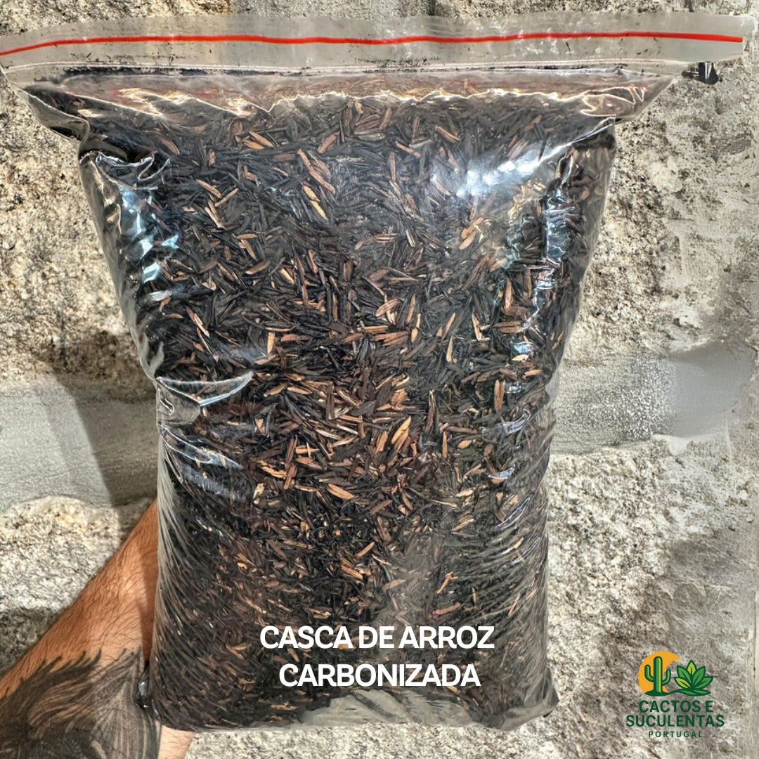 CASCA DE ARROZ CARBONIZADA