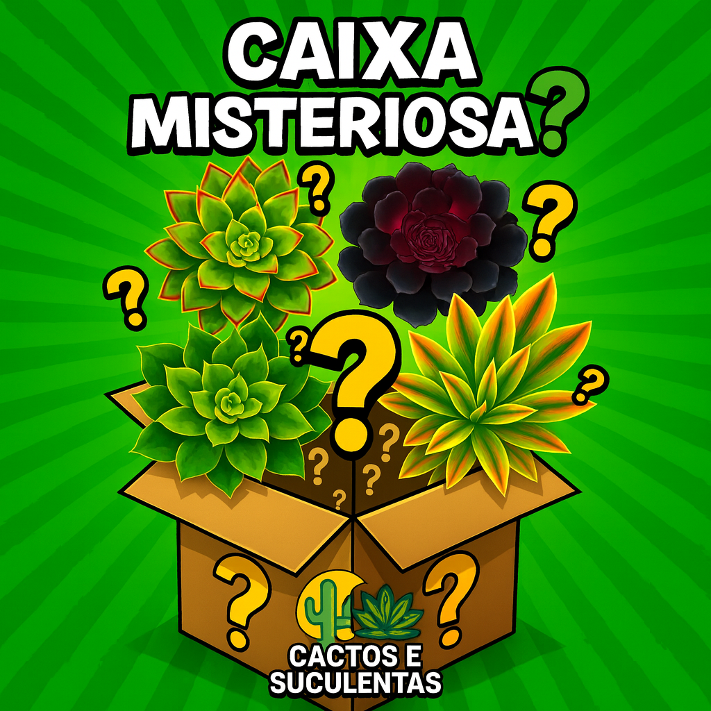 Caixa Misteriosa de Suculentas Aeonium – Edição Especial