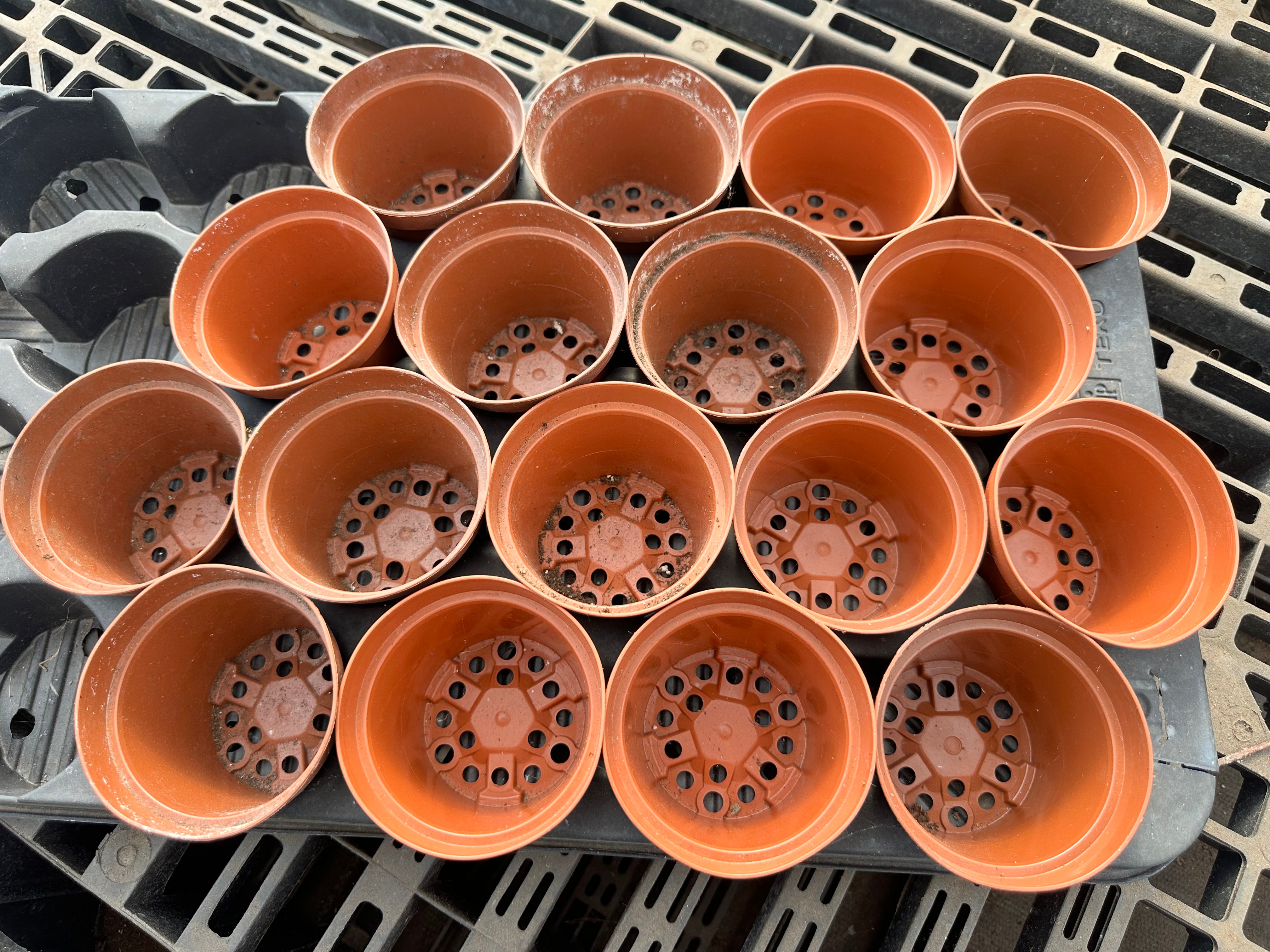 Vaso para multiplicação, acessórios