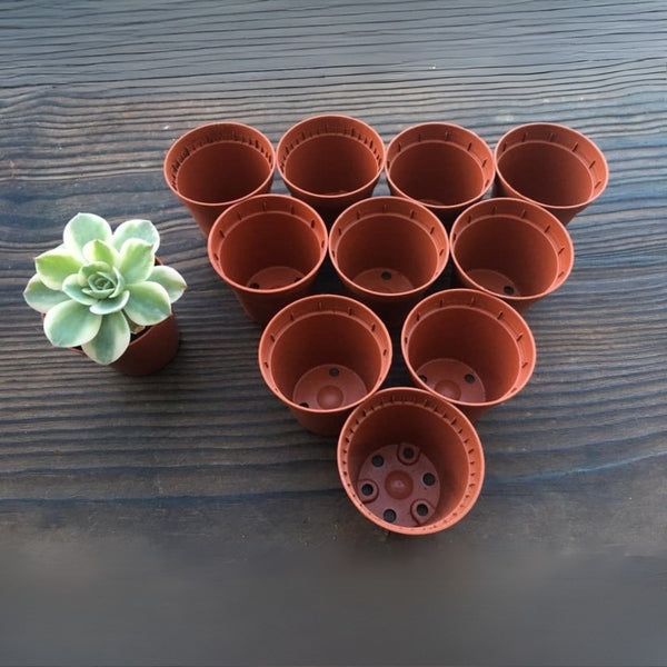 Vaso para multiplicação, acessórios