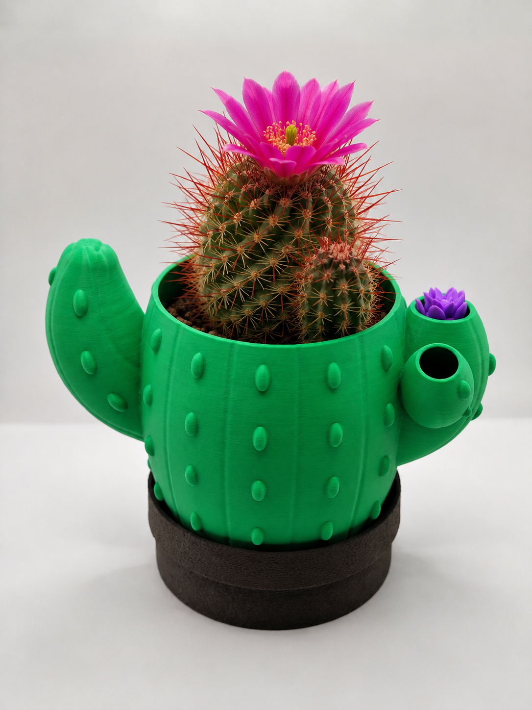 Vaso Autoirrigavel