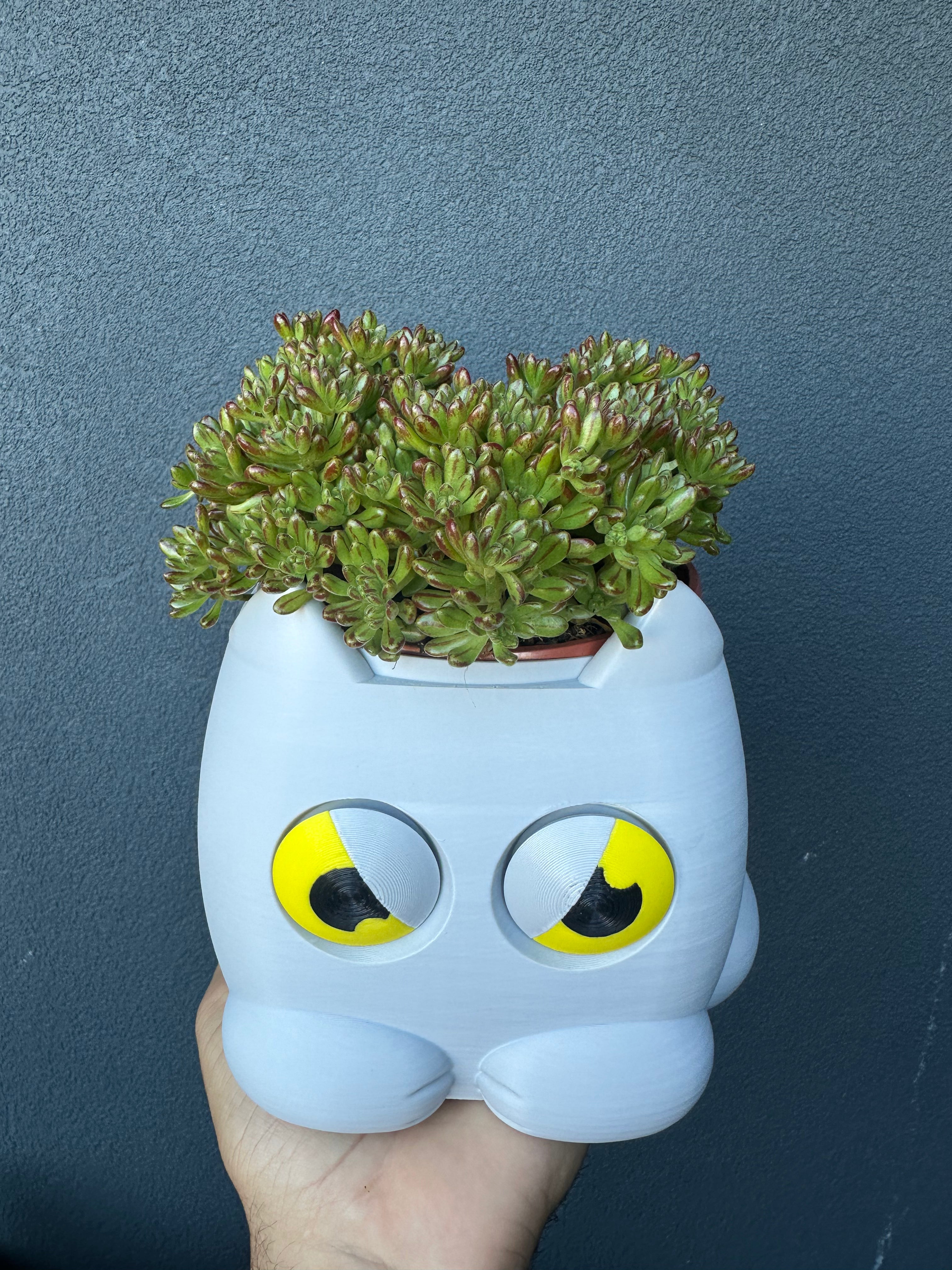 Vaso Autoirrigavel com indicador - Gato