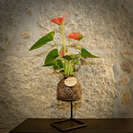 KOKEDAMA com suporte Anthurium