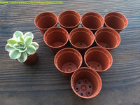 Vaso para multiplicação, acessórios