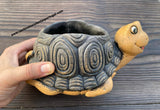 Pote Tartaruga de Cerâmica + Lithops bromfieldii