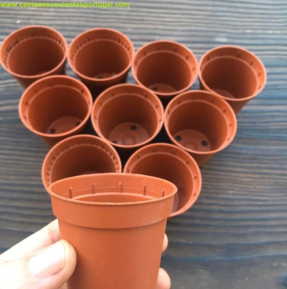 Vaso para multiplicação, acessórios