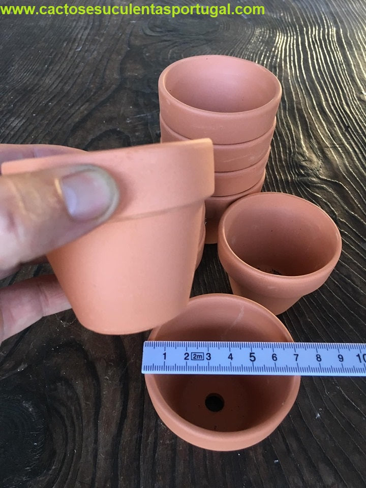 vasos lembranças de casamento