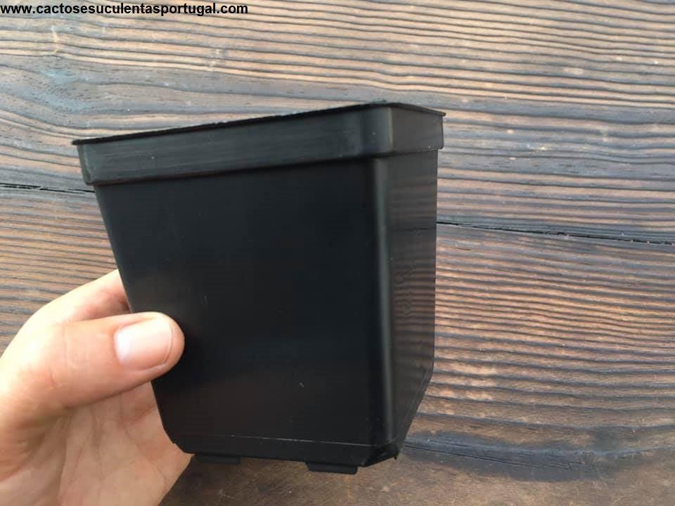Vaso quadrado de plástico rígido 9x9cm